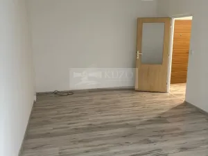 Pronájem bytu 1+1, Chomutov, Holešická, 42 m2