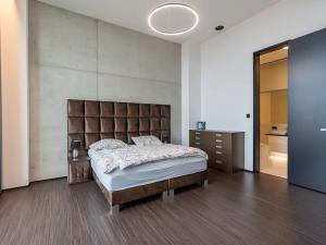 Pronájem bytu 6+kk a větší, Brno, Šumavská, 280 m2