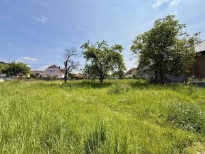 Prodej pozemku pro bydlení, Olšany, 1816 m2