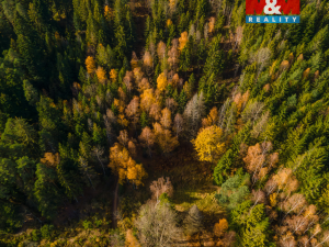 Prodej louky, Milíkov, 4541 m2