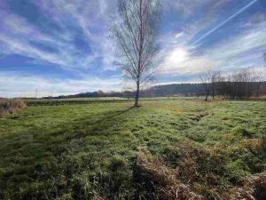 Prodej pozemku, Nové Hrady - Štiptoň, 3703 m2