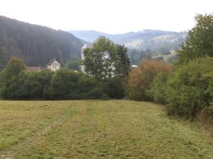 Prodej pole, Rajnochovice, 13124 m2