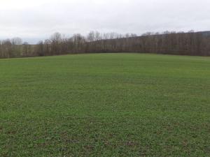 Prodej pole, Srby, 19946 m2