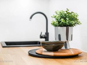 Prodej bytu 2+kk, Praha - Nusle, U křížku, 50 m2