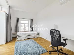 Pronájem atypického bytu, Praha - Nové Město, Dřevná, 250 m2
