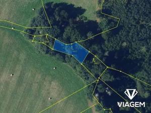 Prodej lesa, Lomnice, 10434 m2