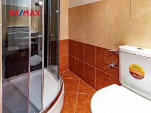 Prodej chalupy, Polevsko, 185 m2