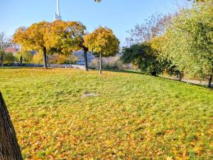 Prodej bytu 1+kk, Praha - Žižkov, Roháčova, 40 m2