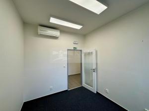 Pronájem obchodního prostoru, Mladá Boleslav - Mladá Boleslav II, Máchova, 291 m2