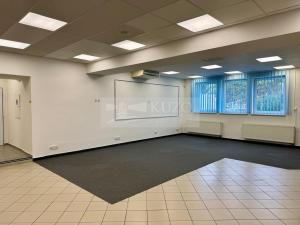 Pronájem obchodního prostoru, Mladá Boleslav - Mladá Boleslav II, Máchova, 165 m2