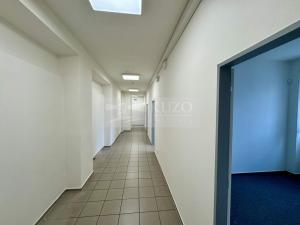 Pronájem obchodního prostoru, Mladá Boleslav - Mladá Boleslav II, Máchova, 165 m2