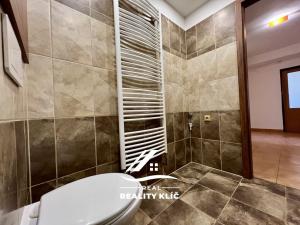 Pronájem bytu 1+1, Ostrava, Dolní, 53 m2