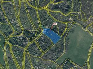 Dražba lesa, Zubrnice, 4610 m2