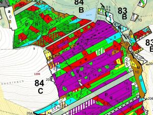 Dražba lesa, Chrbonín, 10189 m2