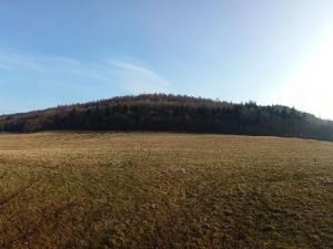 Prodej pozemku pro bydlení, Střílky, 4460 m2