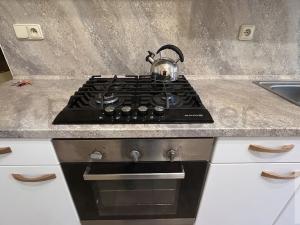 Pronájem bytu 1+1, Děčín - Děčín IV-Podmokly, Palackého, 48 m2