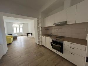 Prodej bytu 1+kk, Brno, Stará, 45 m2