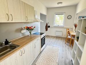 Prodej rodinného domu, Orlické Záhoří, 110 m2