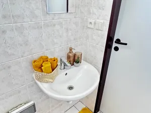 Prodej rodinného domu, Orlické Záhoří, 110 m2