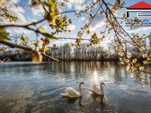 Prodej bytu 4+kk, Brno - Holásky, 89 m2