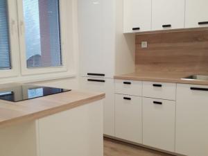 Pronájem bytu 1+1, Frýdek-Místek, I. P. Pavlova, 36 m2