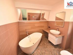 Pronájem bytu 1+1, Teplice, Poštovní, 46 m2