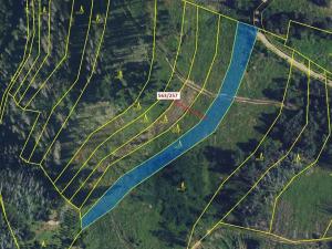 Dražba lesa, Spešov, 2643 m2