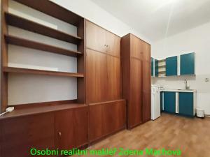Pronájem bytu 1+kk, Praha - Žižkov, Žerotínova, 19 m2