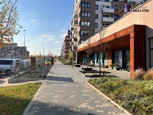 Pronájem bytu 1+kk, Praha - Dolní Měcholupy, Honzíkova, 27 m2