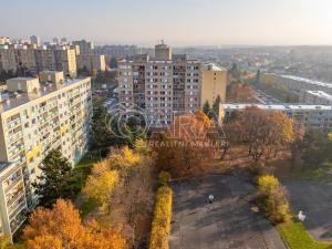 Prodej bytu 3+1, Praha - Chodov, Radimovická, 62 m2