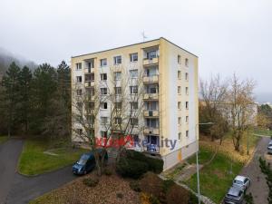 Prodej bytu 2+1, Ústí nad Labem - Mojžíř, Picassova, 46 m2