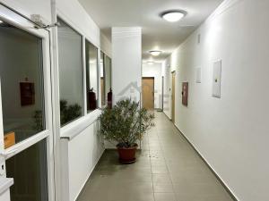 Prodej bytu 2+kk, Milovice, Lesní, 50 m2