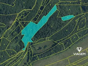 Prodej podílu lesa, Lužná, 3087 m2