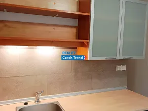 Pronájem bytu 1+1, Olomouc, Dělnická, 37 m2