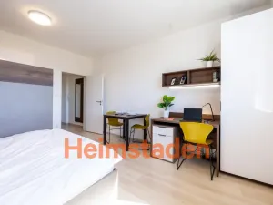 Pronájem bytu 1+kk, Plzeň - Jižní Předměstí, Magisterská, 30 m2