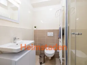 Pronájem bytu 1+kk, Plzeň - Jižní Předměstí, Magisterská, 30 m2