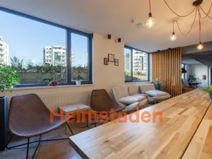 Pronájem bytu 1+kk, Plzeň - Jižní Předměstí, Magisterská, 30 m2