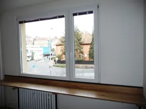 Prodej bytu 1+kk, Děčín, Pohraniční, 20 m2