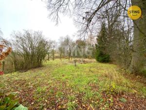 Prodej rodinného domu, Dětřichov u Moravské Třebové, 300 m2