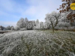 Prodej rodinného domu, Dětřichov u Moravské Třebové, 300 m2