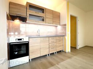 Pronájem bytu 1+kk, Brno - Starý Lískovec, Dunajská, 33 m2