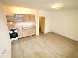 Pronájem bytu 1+kk, Brno - Starý Lískovec, Dunajská, 33 m2