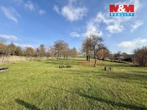 Prodej zemědělské usedlosti, Drhovle - Drhovle Ves, 160 m2