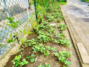 Prodej rodinného domu, Plzeň - Božkov, Velenická, 127 m2