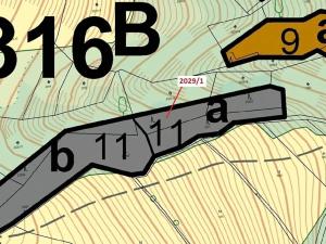 Dražba lesa, Hovězí, 680 m2