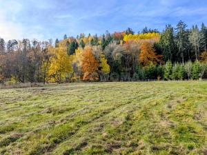 Prodej pozemku pro bydlení, Konstantinovy Lázně, 1196 m2