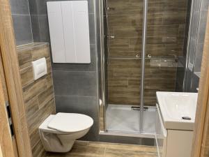 Pronájem bytu 1+1, Děčín - Děčín IX-Bynov, Gagarinova, 46 m2