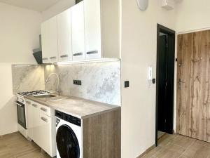 Pronájem bytu 1+1, Karlovy Vary, Dvořákova, 38 m2