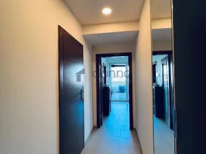 Pronájem bytu 2+kk, Praha, Křížová, 66 m2