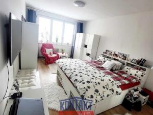 Pronájem bytu 2+1, České Budějovice - České Budějovice 3, 66 m2